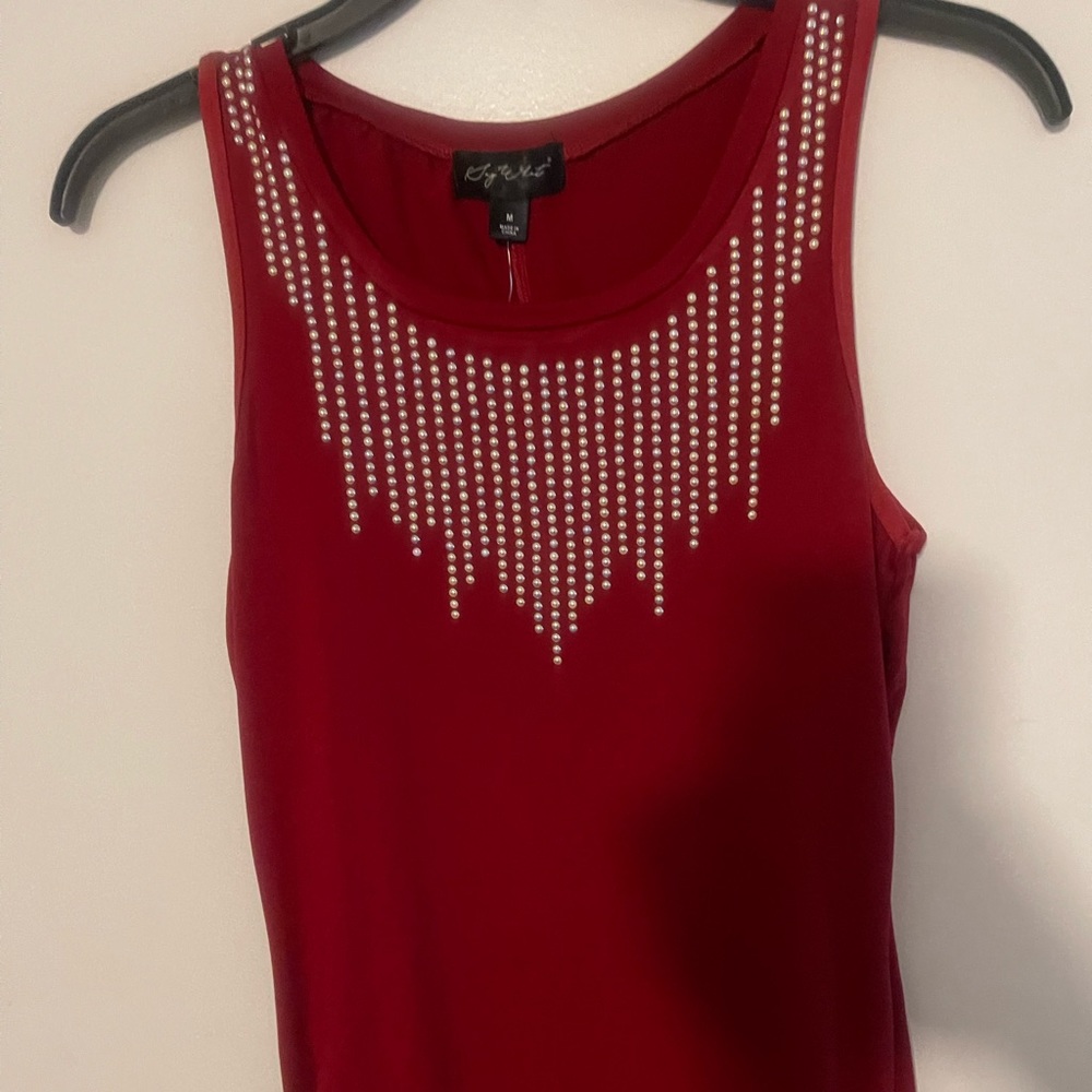 Embroidered Burgundy Body Dress